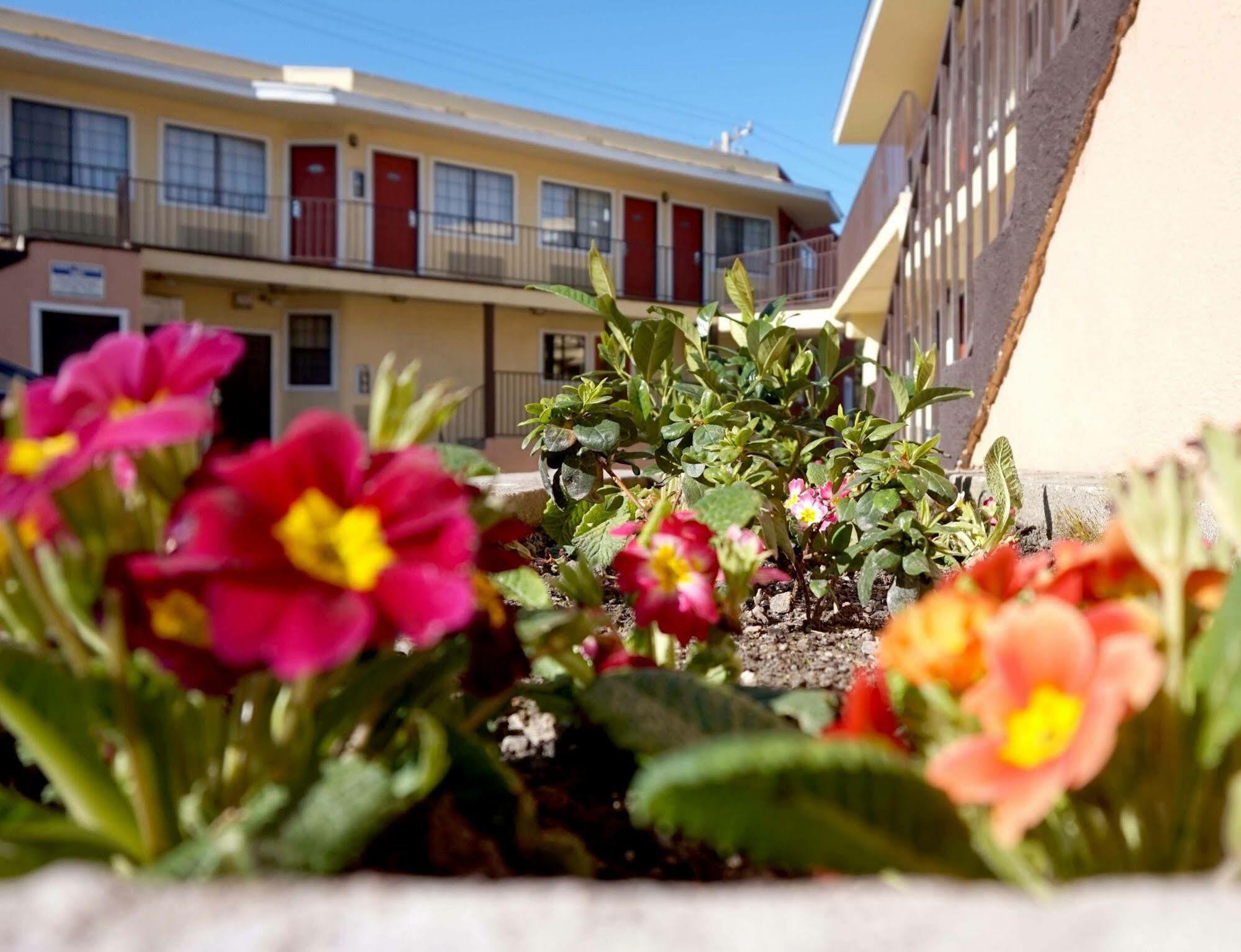Piedmont Place Motel Oakland Eksteriør billede